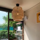 꼬순네 | 일산 백석 애견미용 [꼬순네] 강아지가 스트레스 없는 미용, 내돈내산 포메 가위컷 성공한 썰