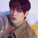 개 in 살롱 이미지