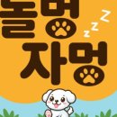 멍애견 이미지