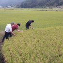 합천농협연합미곡종합처리장 이미지