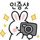이선생도시어장 이미지