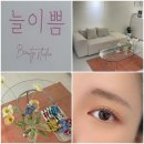 개이쁨 | [경기:범계] 범계 속눈썹펌 맛집 &#39;늘이쁨&#39; 솔직후기ㅣ범계 주차가능 속눈썹펌샵ㅣ범계 반려동물 동반...