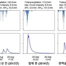 편백숲 투어코리아