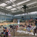 썬파크장 이미지