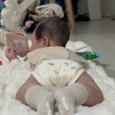 이솝포토 | [내돈내산] 아기 200일 셀프 촬영, 랑랑베베 백설공주 컨셉 포토박스 대여 후기