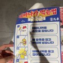 생마차서산 | 서산 [생마차] 내돈내산 솔직 후기