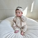 단추돌이
