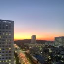 강남-176 이미지