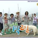 1박2일 시즌1 가장 좋았던 멤버라인은 ? jpg 이미지