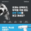 24시 양주 힐 동물의료센터 이미지