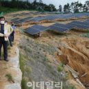 태양산림 이미지