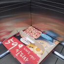 59피자 도당동 강남시장점 네이버블로그