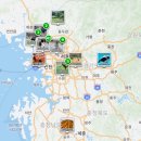 1 | 반려동물 블로그 시작 1년 후기, 네이버 펫 인플루언서까지