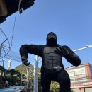 ㈜동산 | 여수루지 여수 유월드 루지 테마파크 여수 가볼만한곳