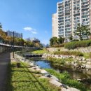 매호천 어울림마당 이미지