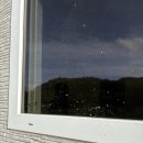 영동타일 | 일더하기 청소 | 충북 영동군 황간 단독주택 입주청소 후기