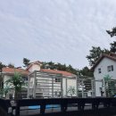 올게이츠1 이미지