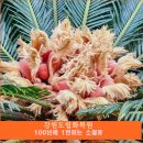 강원꽃식물원 이미지
