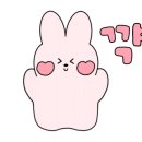 이모란 동물병원 이미지