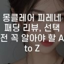 (주)현대드라이크리닝 | 몽클레어 피레네 패딩 리뷰, 선택 전 꼭 알아야 할 A to Z