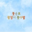 시들지 않는 LED플라워 공예 이미지