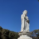 [동구샘터] 봄, 여름, 가을, 겨울 머리 모양 행복 더하기 | 절기행9 / 대구 인근 가볼만한 곳/ 대한불교조계종 제9교구 본사 팔공총림 동화사