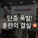J.J Team Boxing Gym | 💥 운양동 복싱 김포GO복싱 운양점 여학생들의 다이어트 → 단증 딴 썰! 복싱 맛집!