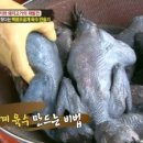 백봉 Daum카페