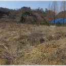 장주농장 이미지