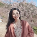 매화꽃민박 이미지