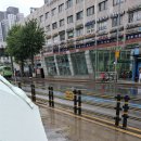 (주)에이앤케이인터내셔널 | 경기청년 기후특사단 합격 후기 및 1일차 오프라인 교육 생생 후기 (feat. 아찔했던 30분 지각 대소동)