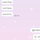 헬로 퍼피 이미지