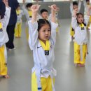 피어나라 태권도 이미지