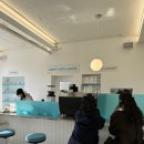 퍼피하우스 이미지