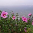 황토구들펜션 이미지