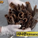 상상초벌