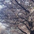 지엔하임경로당 네이버블로그