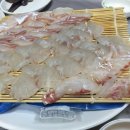 군산실내마차 이미지