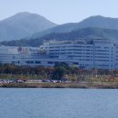 합천창녕보민박