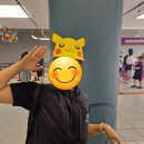 가보자GO | 포켓몬고 메가뮤츠X, 메가뮤츠Y 등장! 서울 반포 한강공원 GO Fest 2026 후기｜디디의 첫 메가뮤츠Y (2탄)