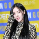 망고케이스 이미지
