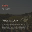 트리니타스 이미지