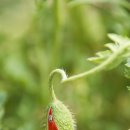 상동호수공원 이미지