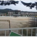 김화초등학교 이미지