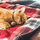 하나크린세탁 이미지