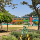 산양초등학교풍화분교장 네이버블로그