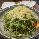 군산오징어판교 | 판교 점심맛집 군산오징어 내돈내산 후기