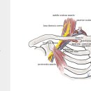 선양신경외과의원 이미지