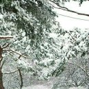 하얀세상 이미지