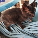 신방자동차정비세차 이미지